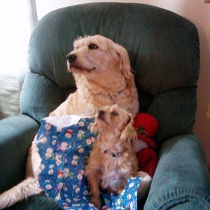 Meet your Posher, Jayne